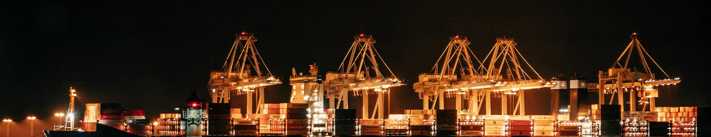 Lit gantry cranes over a container terminal at night.